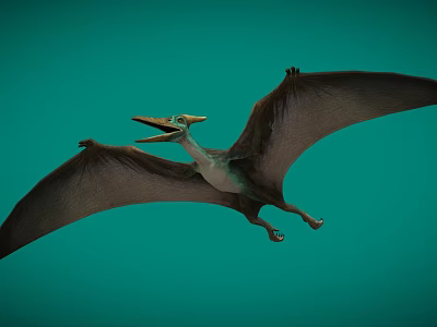 Flying Pterosaur with Spread Wings Open Mouth and Yellow Crest Against Green Background 3d model