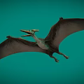 Pterosaur Fengshen Pterosaur Dinosaur Jurassic Ancient Creatures Ancient Birds Low Face Number Low Model Simple Model Game Next Era Film and Television Level Super Realism 3d model
