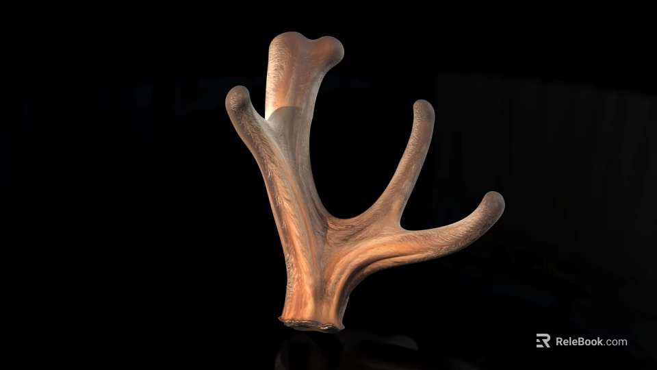Deer Antler Wooden Carving With Brown Textured Surface And Black Background Reflection 3d model 
