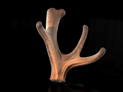 Deer Antler Wooden Carving With Brown Textured Surface And Black Background Reflection 3d model