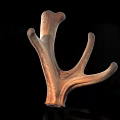 Deer Antler Wooden Carving With Brown Textured Surface And Black Background Reflection