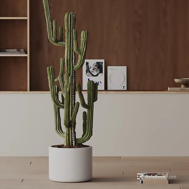 Cactus Bonsai Plant in White Pot with Wooden Shelf for Indoor Home Decor 3d model 