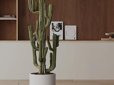 Cactus Bonsai Plant in White Pot with Wooden Shelf for Indoor Home Decor 3d model