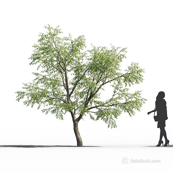 Tall Arbor With Green Leaves And Female Silhouette Walking Beside 3d model 