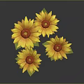 Group of Yellow Flowers With Green Leaves On Dark Background Surface