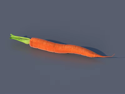 Whole Fresh Orange Carrot with Green Top on Gray Background 3d model