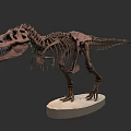 Ancient Reptile Dinosaur Skeleton Display on Museum Base with Detailed Bones