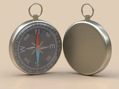 Decorative Ornament Set with Two Metallic Compasses Featuring Directional Scale on Front and Smooth Back 3d model
