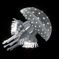 Transparent Jellyfish With White Spots And Long Tentacles On Black Background