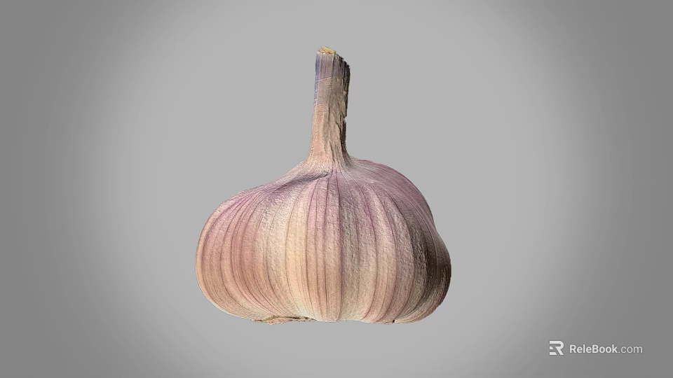 Fresh Garlic Bulb With Purple And White Stripes On Gray Background 3d model 