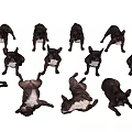 Group of Black and White Reptiles on Orange Background in Various Poses Standing and Lying