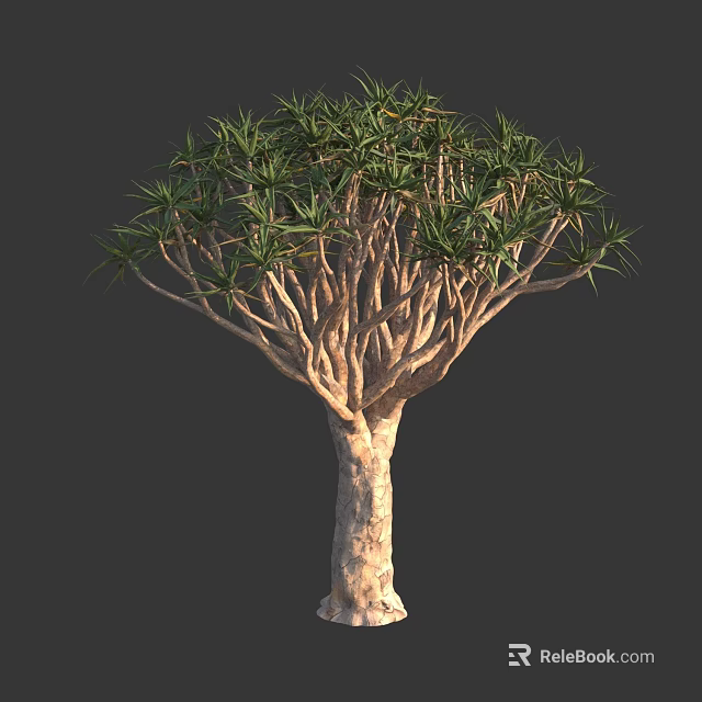 Tall Tree with Thick Brown Trunk and Unique Branching Structure and Lush Green Leaves 3d model 