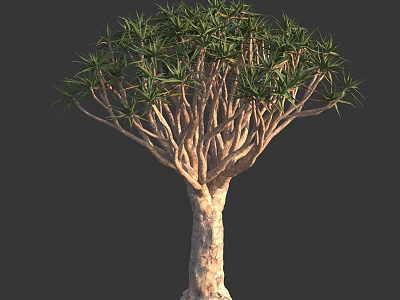 Tall Tree with Thick Brown Trunk and Unique Branching Structure and Lush Green Leaves 3d model