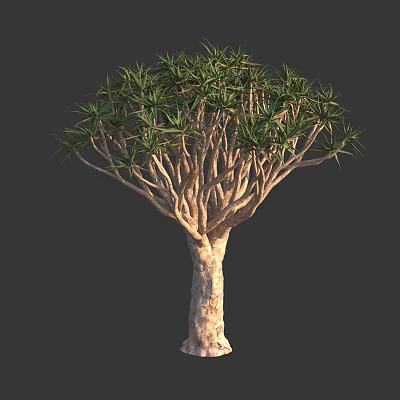 Tall Tree with Thick Brown Trunk and Unique Branching Structure and Lush Green Leaves 3d model