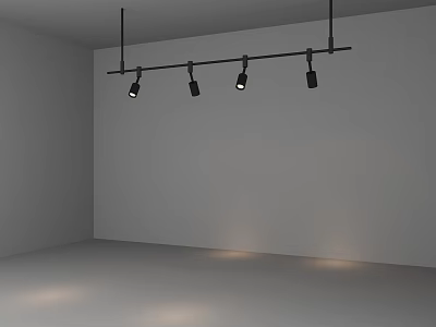 Modern Black Track Mounted Downlights And Spotlights Illuminating White Room Interior 3d model