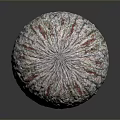 Wooden And Stone Textured Sphere With Colorful Patterns And Detailed Surface