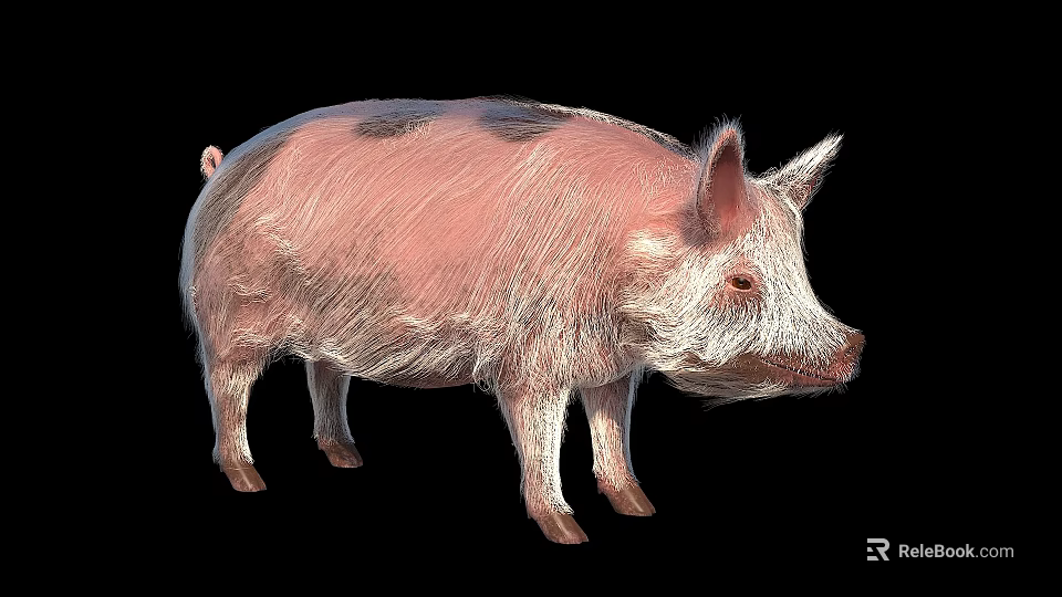 Pink Pig With Black Spots 3D Rendered Standing On Black Background Realistic Fur Texture 3d model 