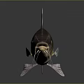 3D Rendered Catfish With Pink Fins And Whiskers On Dark Background Reflection