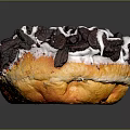 Delicious Golden Brown Donut Topped With Chocolate Crumbs And White Icing