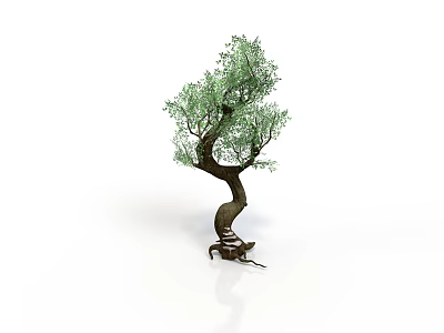 Decorative Garden Tree With Twisted Trunk Green Leaves And Root Base 3d model