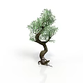Decorative Garden Tree With Twisted Trunk Green Leaves And Root Base