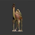 Colorful Terracotta Camel Sculpture In Tang Dynasty Style With Vibrant Colors And Carrying Goods