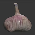 Fresh Garlic Vegetable Bulb With Purple Stripes On Reflective Black Surface