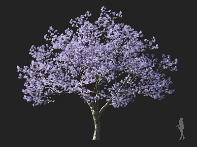 Lush Arbor With Purple Blossoms And Full Canopy Featuring Human Silhouette Against Dark Background 3d model