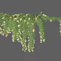 Hanging Green Vine With Lush Leaves And White Small Flowers For Natural Decoration