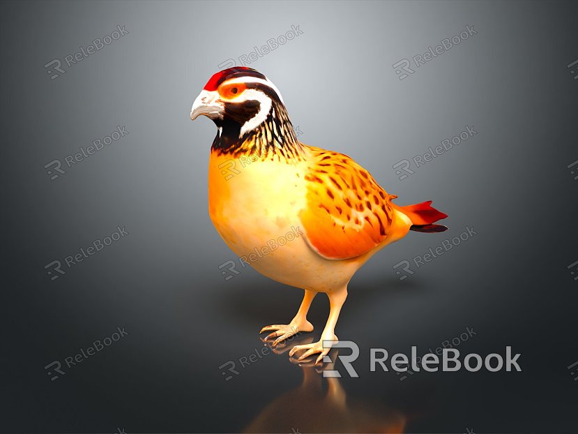 bird bird bird bird game animal cartoon animal animal realistic animal model