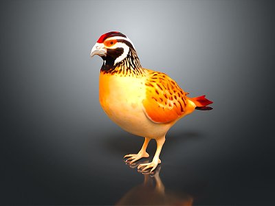 bird game animal cartoon animal realistic animal model