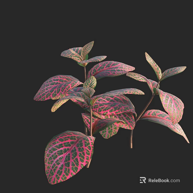 Vibrant Colorful Plant Leaves with Pink and Green Veins on Black Background 3d model 