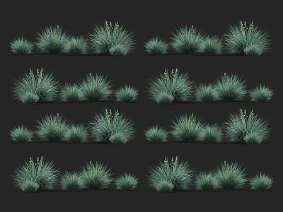 Green Herb Plants in Various Sizes and Shapes Neatly Arranged Against Dark Background 3d model
