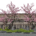 Peach Tree Old Pile Peach Blossom Tree Landscape Tree Cherry Blossom Tree Courtyard Landscape Sitches Ting Step Moss Plant Landscaping Stone Enclosure 3d model