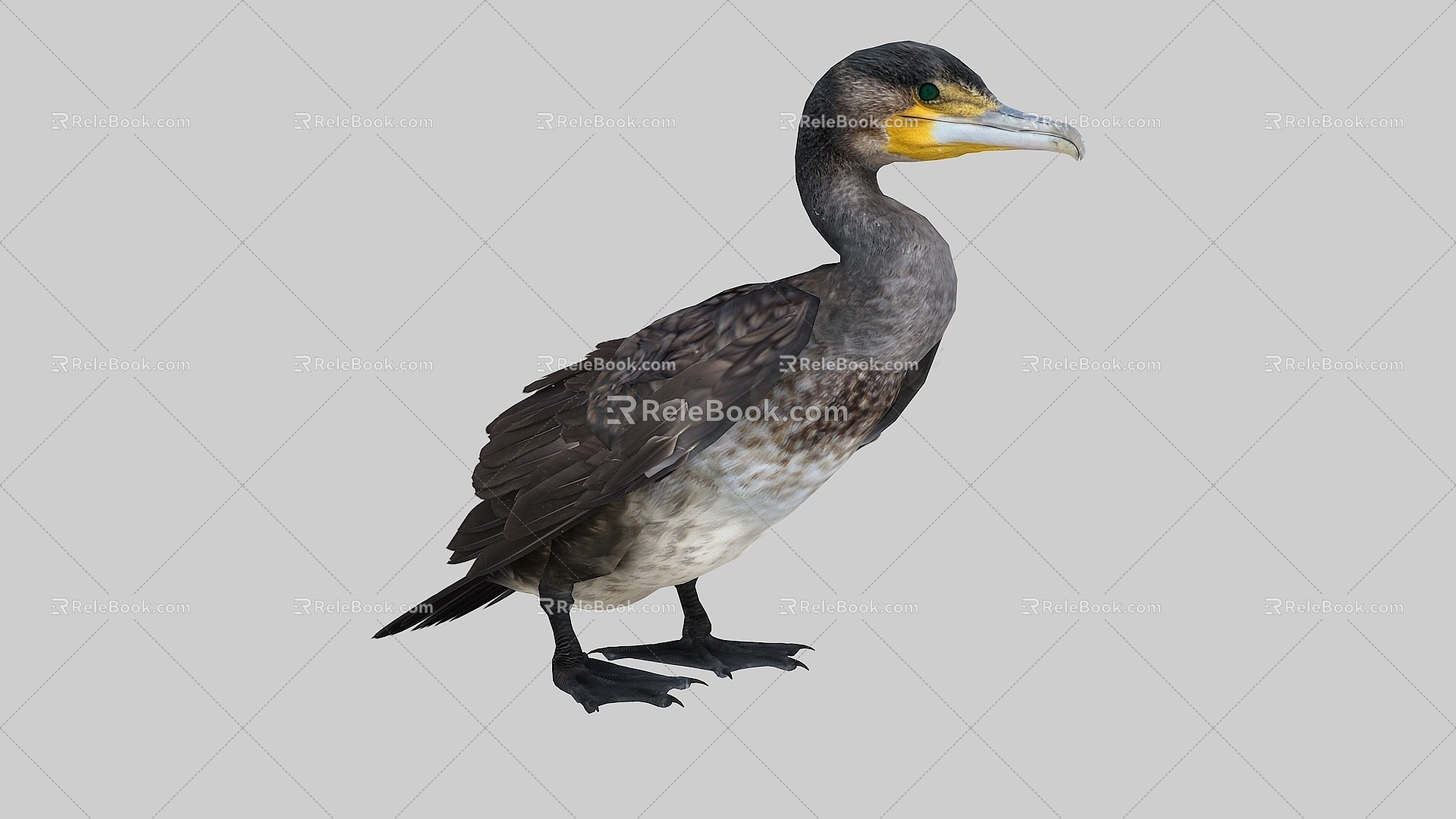 Osprey animation cormorant water duck duck grass duck eagle water bird bird bird 3d model