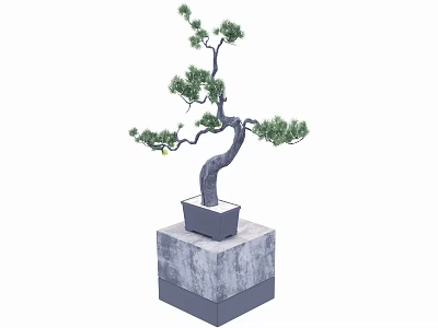 Bonsai Plant With Curved Trunk Fresh Green Leaves In Square Gray Pot On Stone Pedestal 3d model
