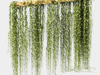 Hanging Green Vines Decorative With Wooden Beam Support And Lush Foliage 3d model