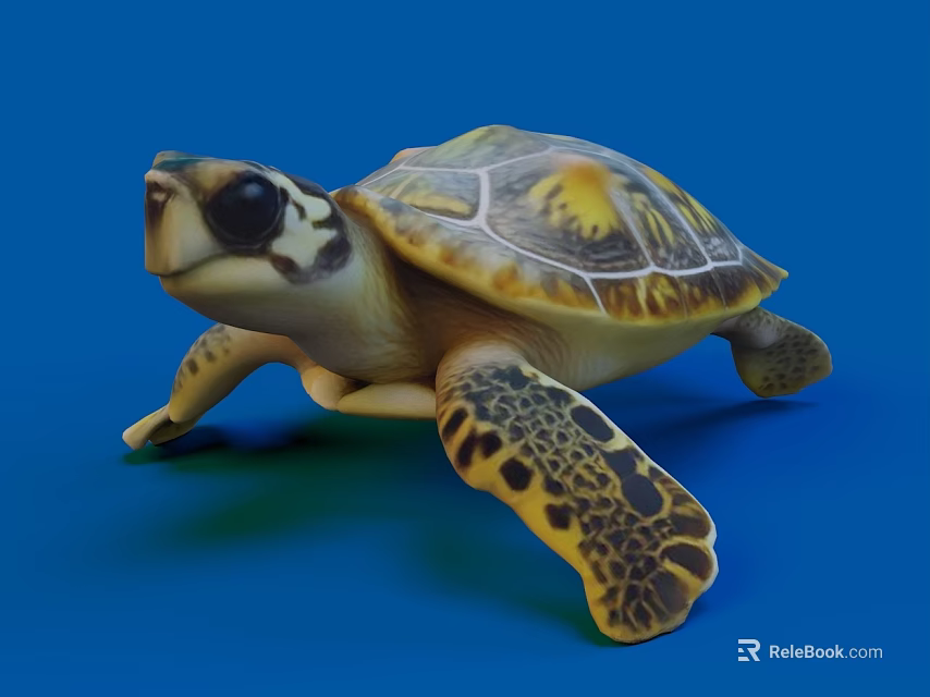 Young Sea Turtle With Yellow Brown Shell And Spotted Limbs Swimming Underwater 3d model 