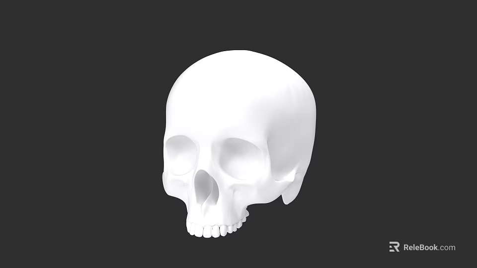 White Skull Game Movie Character Design With Black Background 3d model 
