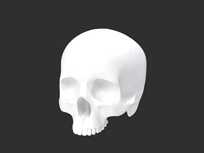 White Skull Game Movie Character Design With Black Background 3d model