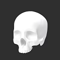 White Skull Game Movie Character Design With Black Background