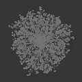 Bare Branched Arbor With White Frost Covered Crown And Natural Structure