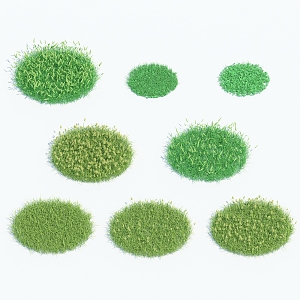 Modern Grass 3d model