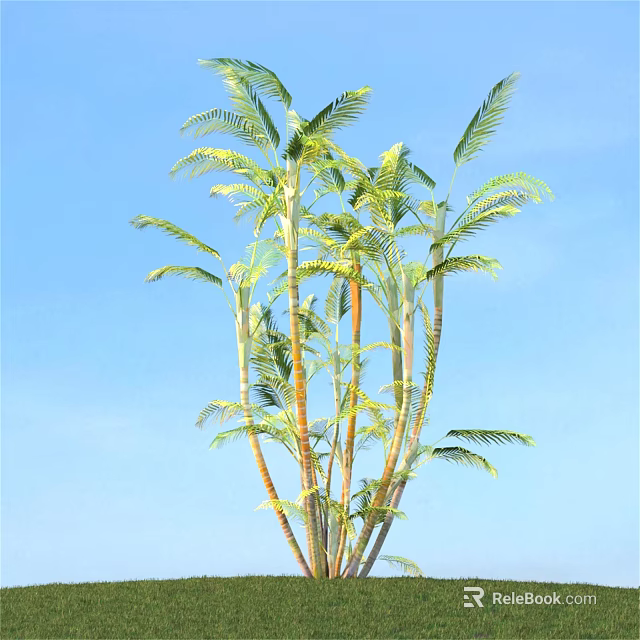 Lush Palm Shrub With Green Fronds Against Clear Blue Sky 3d model 