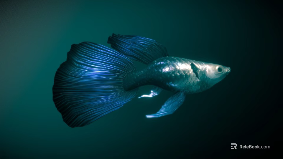 Shiny Blue Guppy Fish With Large Flowing Tail Swimming In Water 3d model