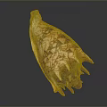 Detailed Animal Organ Structure With Fine Hair And Colorful Surface Patterns