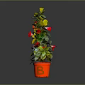 Decorative Potted Plant With Green Leaves And Red Flowers In Red Pot
