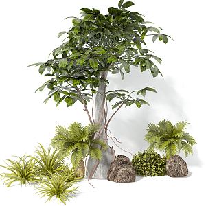 modern shrub assemblage 3d model