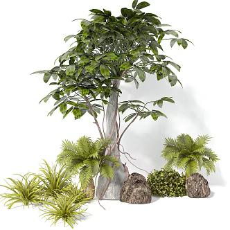 modern shrub assemblage 3d model