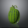 Ripe Green Striped Watermelon With Fresh Vine And Leaves On Top